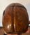 English Antique 18th Century George III Stained Fruitwood Melon Form Tea Caddy Circa 1790 For Sale - Image 3 of 12