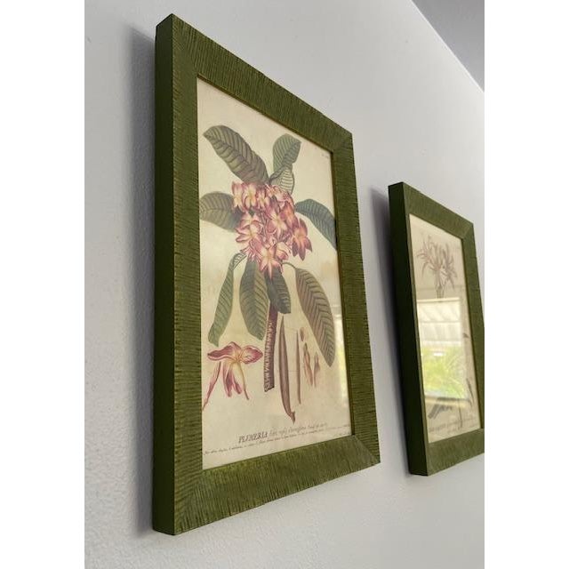 Vintage Wood Framed Botanical Prints For Sale In Miami - Image 6 of 12