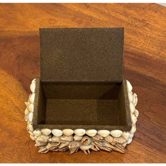 Vintage Palm Beach Style Rectangular Encrusted Shell Box in Neutral Palette For Sale - Image 11 of 18