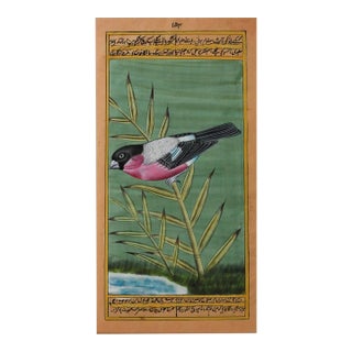 Late 20th Century Mughal Style Miniature Bullfinch Bird Painting For Sale