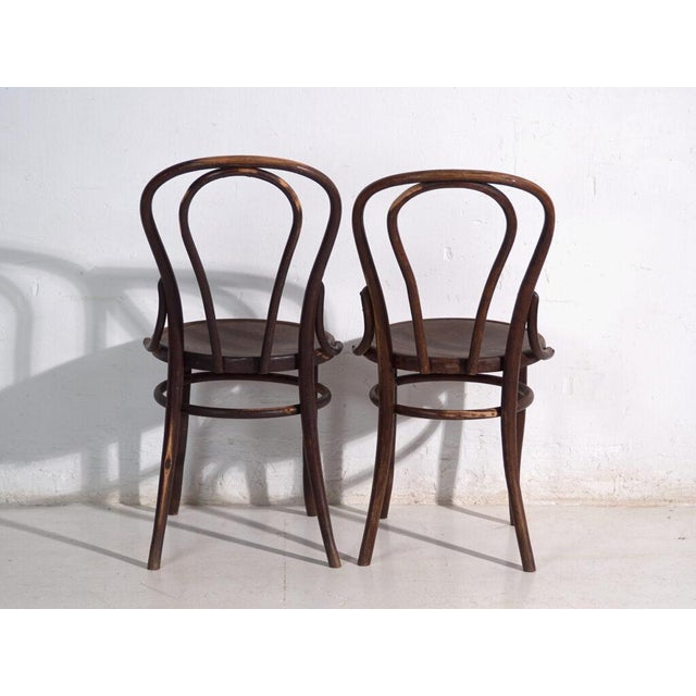 Antique Bentwood Chairs from Thonet, Central Europe, 1900, Set of 2 For Sale - Image 6 of 11