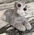Plastic 1981 Sandicast Schnauzer Figure For Sale - Image 7 of 15