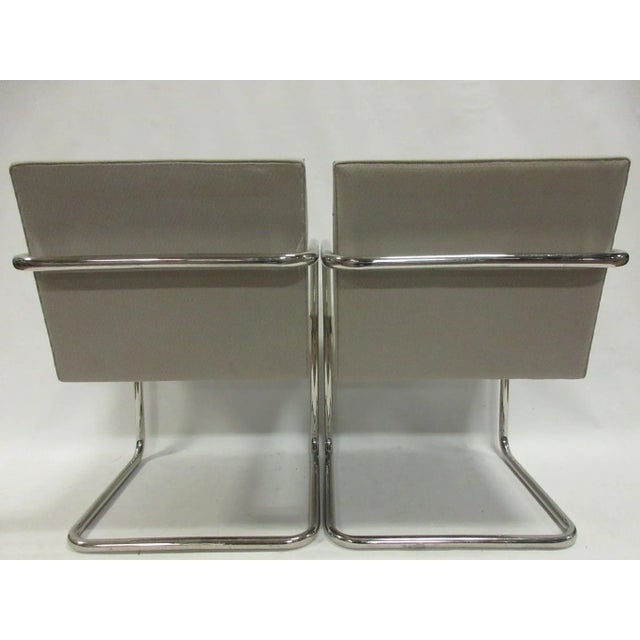 Ludwig Mies van der Rohe Knoll Brno Tubular Armchairs - Set of Two For Sale - Image 4 of 6