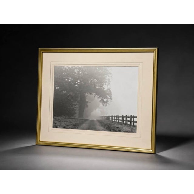 Elegant black and white landscape photograph featuring a misty country road lined with a wooden fence and large trees. The...