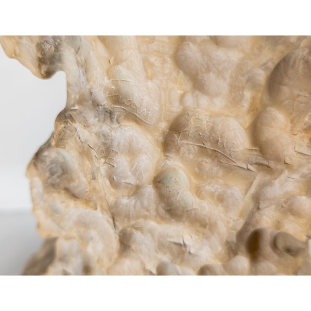 Early 20th Century Alabaster Sculpture of a Woman by Umberto Stiaccini, Florence For Sale - Image 13 of 18