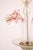 Vintage Murano Style Crystal J Arms Chandelier With Gold & Rose Inflections For Sale - Image 4 of 14