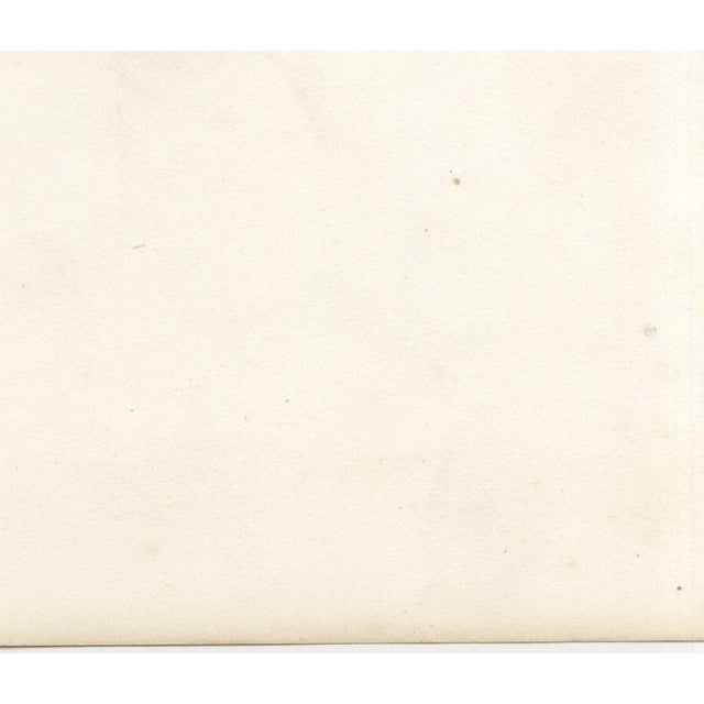 Breton Bull, Cattle Print After Constant Troyon, 1873, Paper For Sale - Image 10 of 12