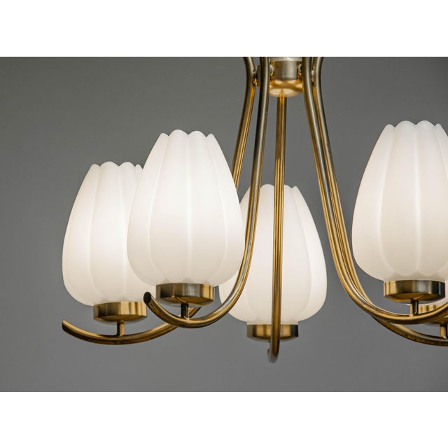 Large Brass Chandelier with Opal Glass Tulip Vases from Böhlmarks, Sweden, 1940s For Sale - Image 6 of 8