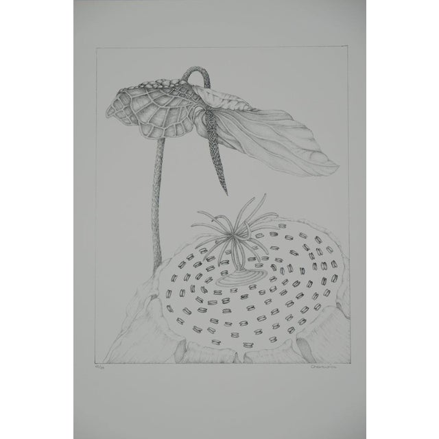 Gochka Charewicz, L'arum, Lithograph For Sale - Image 7 of 7