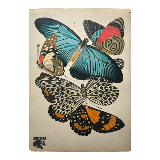 1920s Original E.A. Séguy Butterfly Print(s) From Papillons (No. 11) For Sale