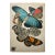 1920s Original E.A. Séguy Butterfly Print(s) From Papillons (No. 11) For Sale