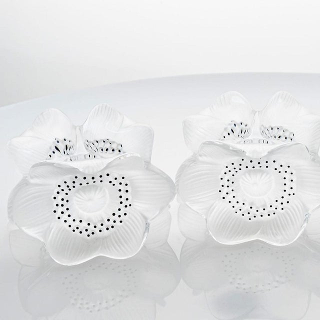 Anemones Candleholders from Lalique, 1975, Set of 3 For Sale - Image 9 of 10
