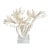 Extraordinary Natural Branch Coral on Acrylic Base For Sale