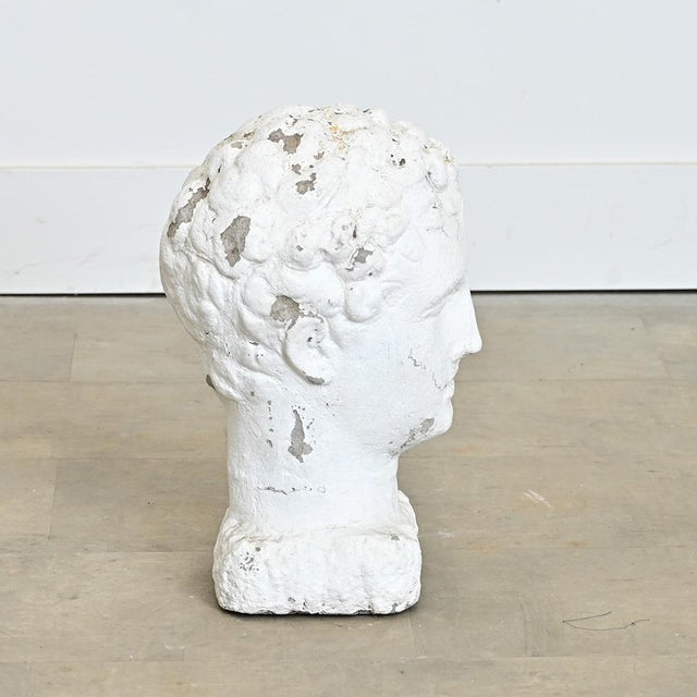 Early 20th Century English 20th Century Stone Bust of a Greco-Roman Youth For Sale - Image 5 of 7