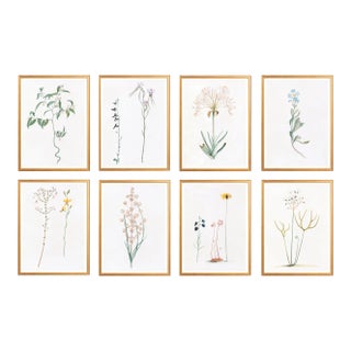 Celerie Kemble Curated Australian Botanical Set of 8 (24X30) in Gold Frame For Sale