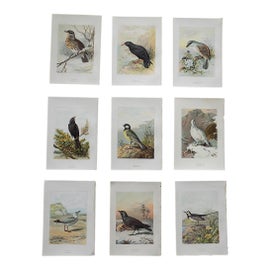 Example of Reproduction Prints