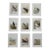 Antique 19th Century Wild Bird Chromolithographs - Set of 9 For Sale