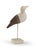 Contemporary Wildwood Mango Wood Shorebird, Large For Sale - Image 3 of 3