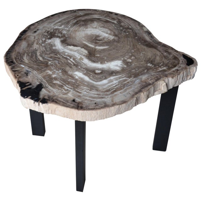 Rare, high quality petrified wood slab side table. Set on a minimalist black steel base. As with a diamond, we polish the...