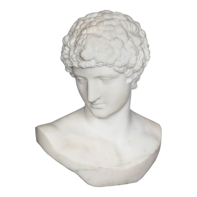 Grand Tour 19th Century Marble Bust of Antinous as Hermes by Filli Pugi For Sale