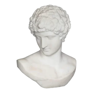 Grand Tour 19th Century Marble Bust of Antinous as Hermes by Filli Pugi
