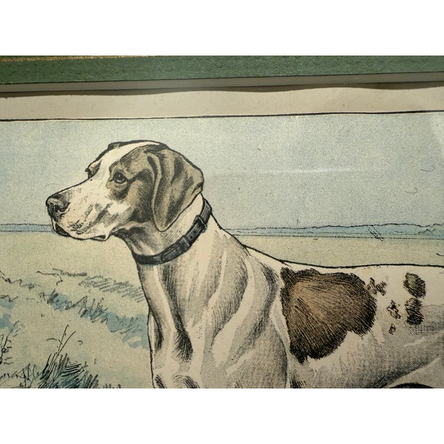 French Beautifully Framed French Chromolithograph of Pointer Dog, Signed P. Mahler, Early 20th Century For Sale - Image 3 of 10