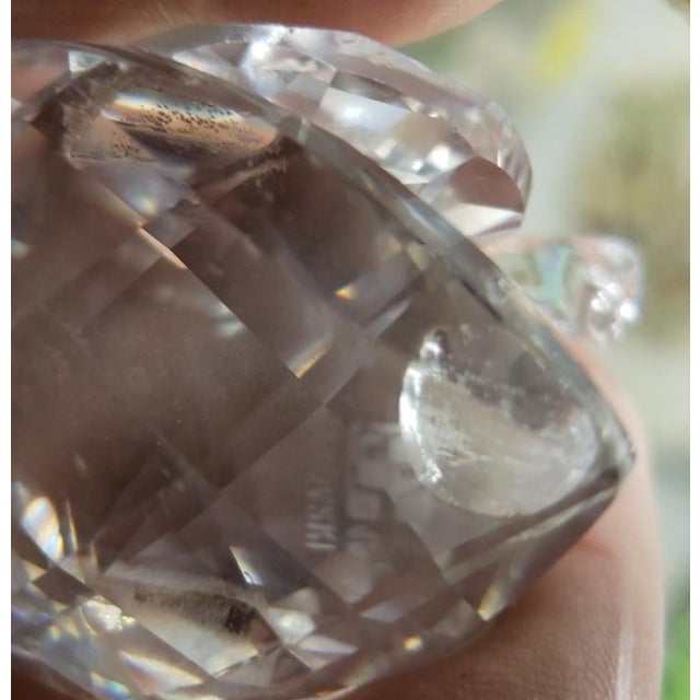 1980s Swarovski Crystal Spread Wing Swan Figurine For Sale In New Orleans - Image 6 of 6