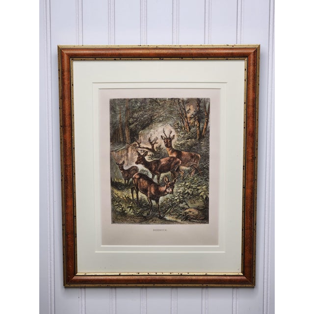 Late 19th Century Louis Prang Deer Engravings in Burl Wood Style Frames - Set of 4 For Sale - Image 4 of 16
