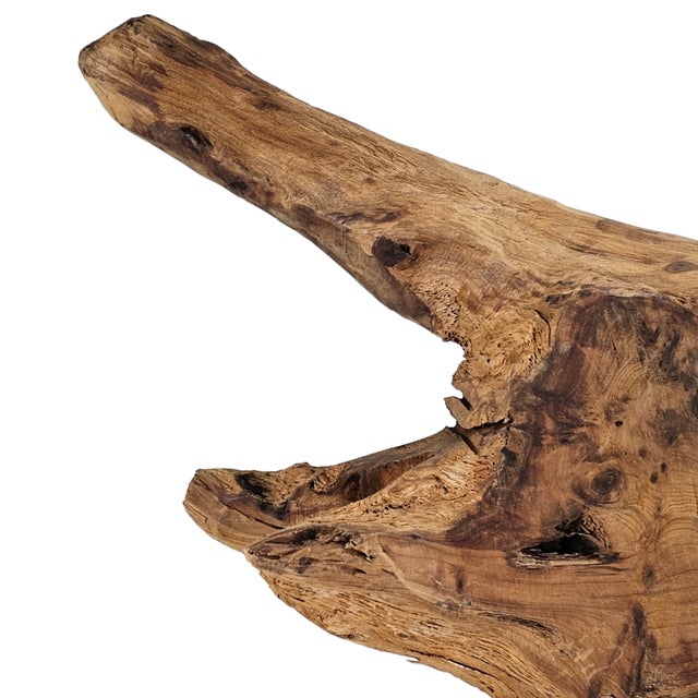 Large Natural Driftwood Sculpture on Stand Organic Modern Art 19" For Sale - Image 9 of 11