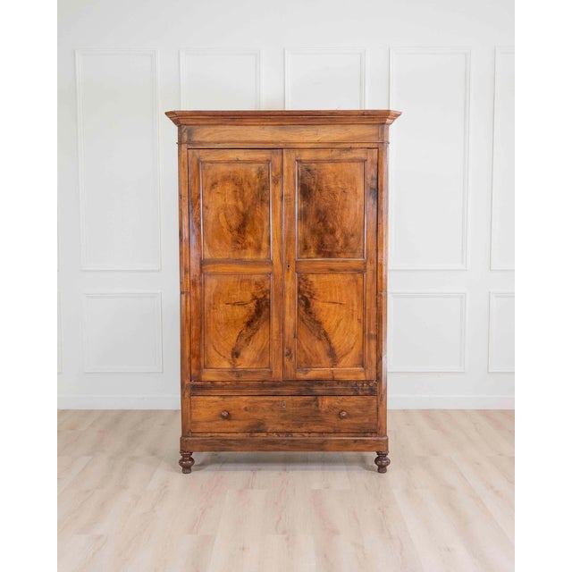 19th Century Italian 19th Century Louis Philippe Walnut Wardrobe Cabinet For Sale - Image 5 of 8