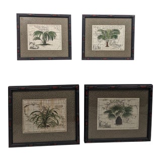 Set of 4 Framed Green Botanical Palm Prints on Antique Maps – Ralph Lauren Style For Sale