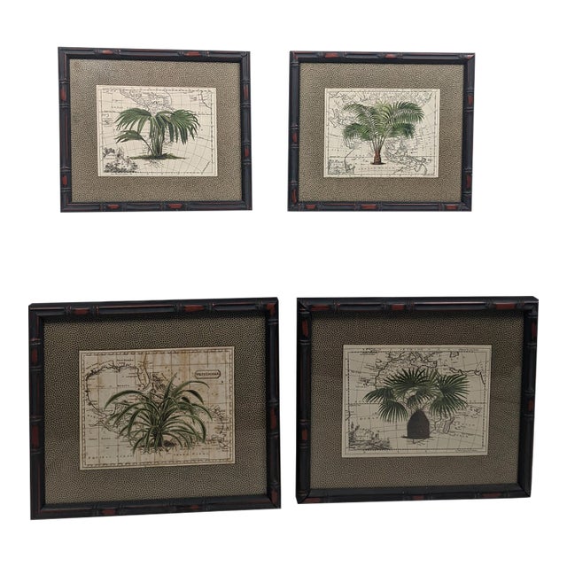 Set of 4 Framed Green Botanical Palm Prints on Antique Maps – Ralph Lauren Style For Sale