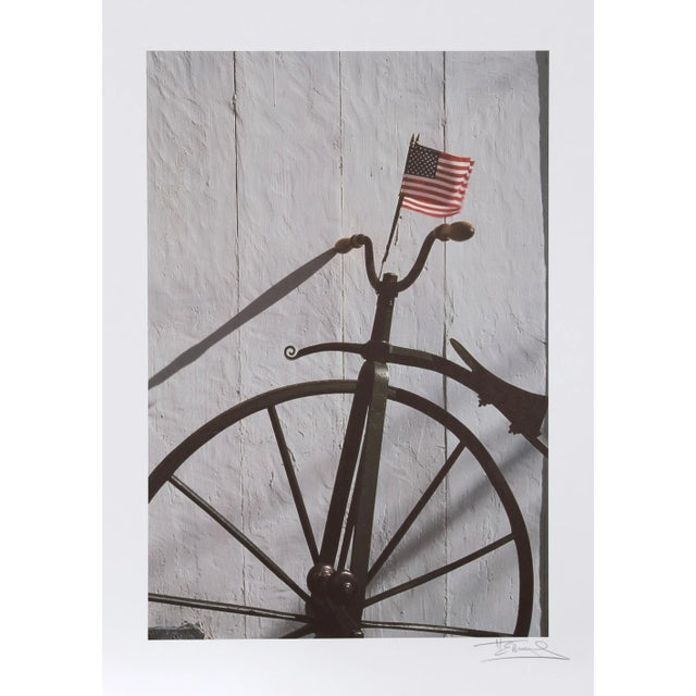 Harvey Edwards, Flag, Offset Lithograph For Sale