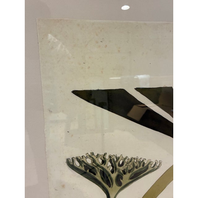 An impressive oversized botanical seaweed print by Natural Curiosities, featuring a dramatic marine botanical composition...