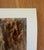 Brown Kees Van Dongen (1877–1968), Het Pad Der Deugd (Le Sentier De La Vertu), 1913; Art Poster, Printed in Holland For Sale - Image 8 of 12