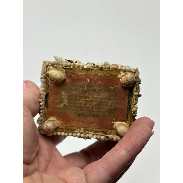 Coastal Small Vintage Shell Art For Sale - Image 3 of 7
