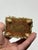 Coastal Small Vintage Shell Art For Sale - Image 3 of 7