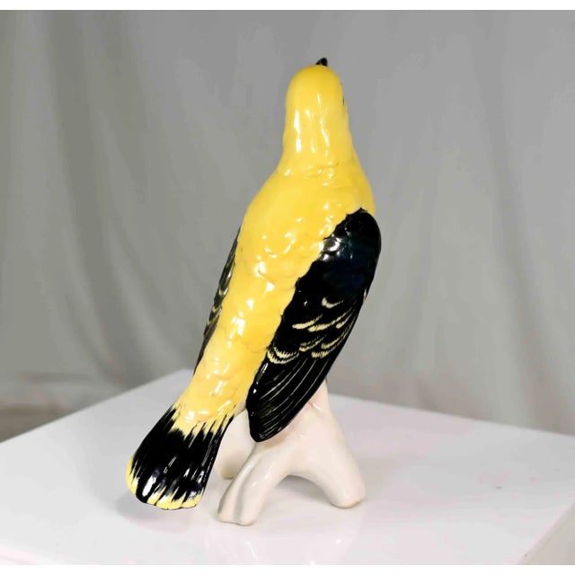 Early 20th Century Early 20th Century Porcelain Indian Golden Oriole by Karl Ens Volkstedt Germany For Sale - Image 5 of 12