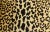Jungle African Leopard Cat Velvet Feather/Down Pillow 24” X 17” For Sale - Image 4 of 9