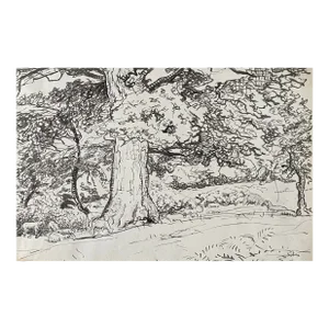Harold Hope Read Sheep in Landscape English Drawing