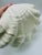 Large Vintage Coastal Ceramic Clam Shell For Sale - Image 10 of 12