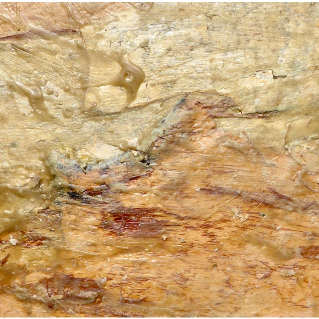 2020s Eucalyptus as Nature For Sale - Image 5 of 5