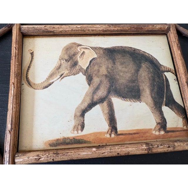 Late 20th Century British Colonial Style Elephant and Leopard Prints in Bamboo-Style Wood Frames Safari Decor — A Pair For Sale - Image 5 of 9