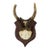 Antique Roe Deer Trophy on Turned Plaque, Germany ca.1930s For Sale