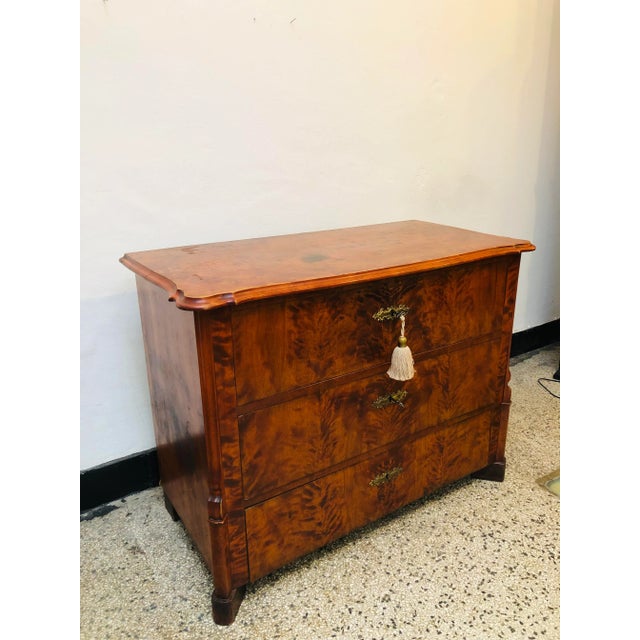 Wood Wilhelminian Dresser, 1870s For Sale - Image 7 of 11