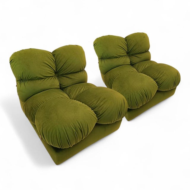 Chameleon-Style Lounge Chairs by Mario Bellini, 1970s, Set of 2 For Sale - Image 14 of 14
