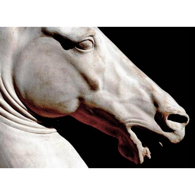 Roman Horse in Terracotta, Late 19th Century For Sale - Image 4 of 6