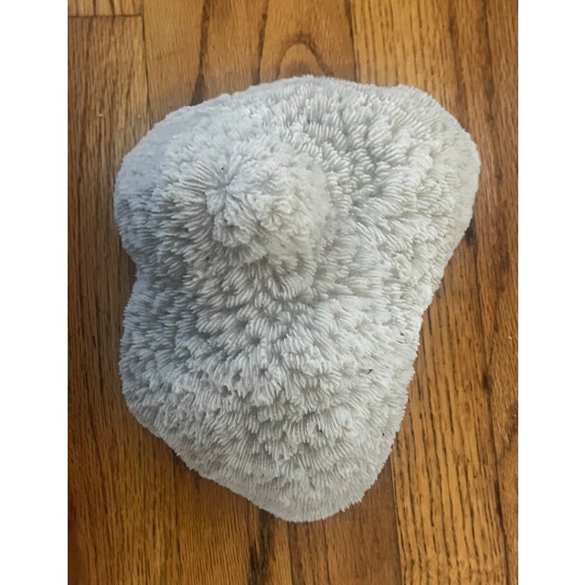 Large dramatic coral with an organic bowl-like shape. This pieces has curves and undulates beautifully, with wavy,...