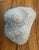 Large dramatic coral with an organic bowl-like shape. This pieces has curves and undulates beautifully, with wavy,...