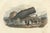 After Édouard Traviès, The Cylindrical Physale (Sperm Whale), 1840, Hand-Colored Engraving For Sale - Image 10 of 10